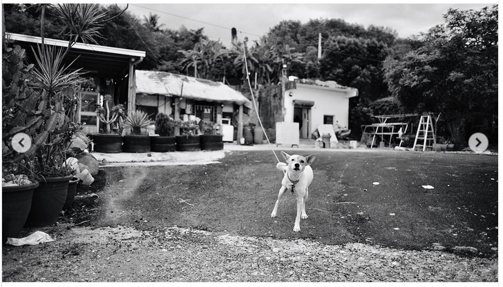 taitung2